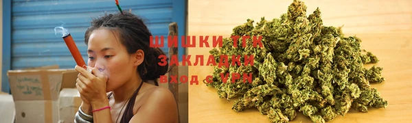 тгк Богородск